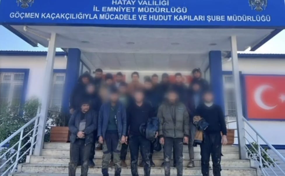 Hayvan Dışkısıyla Kamufle Edildiler